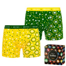 Men's boxers Frogies Zodiac Близнаци 2P Gift box