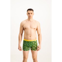 Men's boxers Frogies Zodiac Близнаци