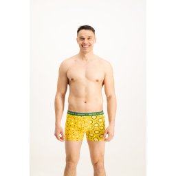 Men's boxers Frogies Zodiac Близнаци