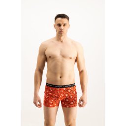 Men's boxers Frogies Zodiac Скорпион