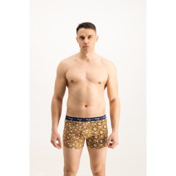 Men's boxers Frogies Zodiac Дева