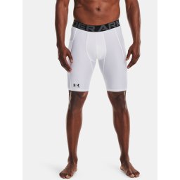 Мъжки шорти Under Armour