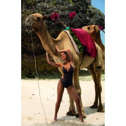 Swimwear Anina M-680 (3) brown