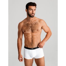 Ombre Men's underpants
