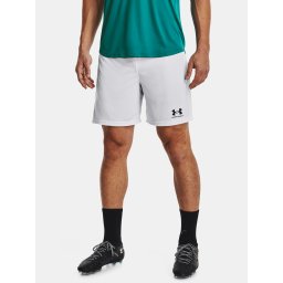 Men's shorts Under Armour