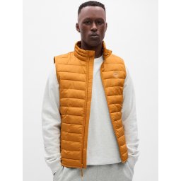 Мъжки елек. GAP