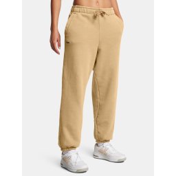 Women's pants Under Armour UA Icon HWT Flc OS Pant-BRN - Women's