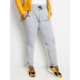 Sweatpants-RV-DR-4765.52-gray