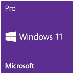 Windows 11 Pro 64-bit English DSP