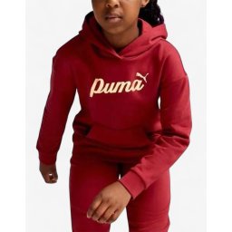 PUMA Essentials+ Script Metallic Hoodie Red