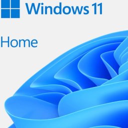 Операционна система Microsoft Windows 11 Home, 64-bit, български, USB