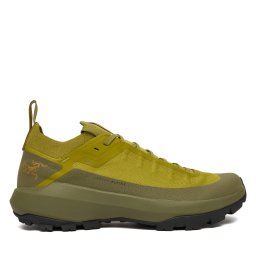 Туристически Arc'teryx Verte Alpine Gtx Gore-Tex X000009602 Зелен