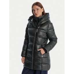 DKNY Зимно яке DLEMPU99 Зелен Regular Fit