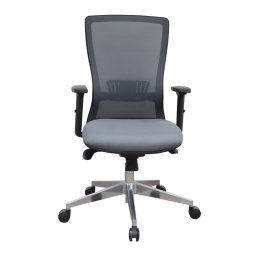 Работен стол RFG Ergo 06 W (ARYA 06/CR03/NFILE05), до 120кг, дамаска/меш, хромирана база, Synchro механизъм, коригиране на височината, лумбална опора, ергономичен, сив