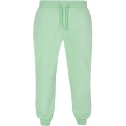Basic sweatpants neo mint