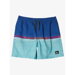 Boys' swimming shorts Quiksilver EVERYDAY WORDBLOCK