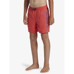 Boys' shorts swimsuit Quiksilver EVERYDAY VERT VOLLEY