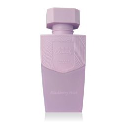 Pendora Scents Blackberry Wish 100 ml eau de parfum унисекс