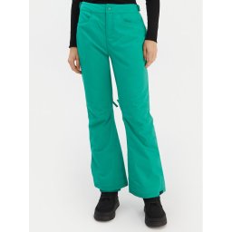 Roxy Сноуборд панталони Backyard ERJTP03299 Зелен Tailored Fit