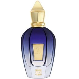 Xerjoff Join the Club More Than Words EDP 100ml за Мъже и Жени БЕЗ ОПАКОВКА