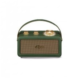 FM Radio RA-101 Forest-Gold