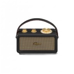 FM Radio RA-101 Black-Gold