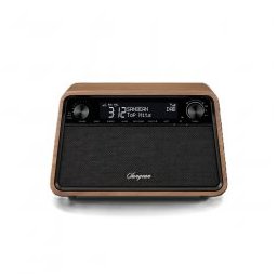 FM Radio WR-201D Vintage Walnut