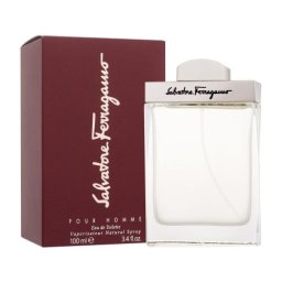 Ferragamo Pour Homme 100 ml eau de toilette за мъже