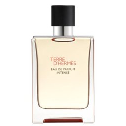 Hermes Terre d'Hermes Eau de Parfum Intense Spray 100 ml БО за мъже
