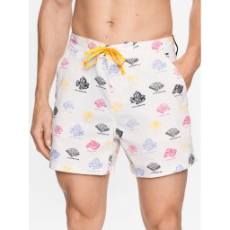 The North Face Плувни шорти Class V Ripstop NF0A81X1 Цветен Regular Fit