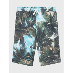 Guess Спортни шорти L3GD04 KA6R3 Цветен Regular Fit