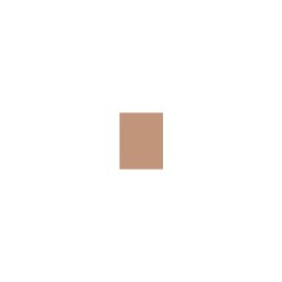 Shiseido Sun Protection Tanning Compact Foundation SPF10 фон дьо тен със слънцезащита 12 g нюанс Bronze