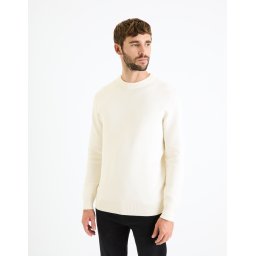 Celio Smooth Sweater Beclo - Men's