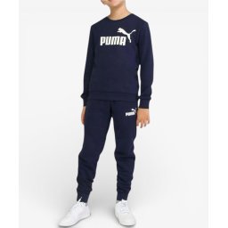 PUMA No.1 Logo Sweat Suit Blue