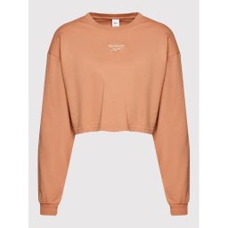 Reebok - Мъжки дълъг ръкав CL WDE