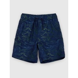 GAP Children's Shorts - Boys