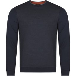 Мъжки пуловер Ted Baker