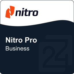 Nitro Pro Business 1 Година 1 - 19 User