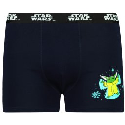 Men's boxer Batman - Frogies