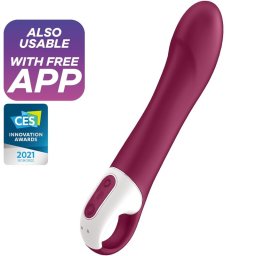 SATISFYER - SATISFYER VIBRATOR