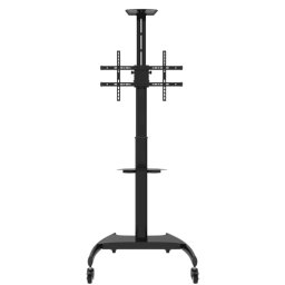 Neomounts Mobile Flat Screen Floor Stand (height: 130-162 cm)