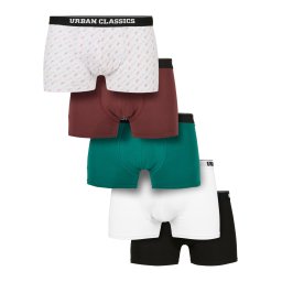 Organic Boxer Shorts 5-pack clrfl+chry+trgrn+wht+blk