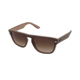 Слънчеви очила Ray-Ban RB4407 6731/13