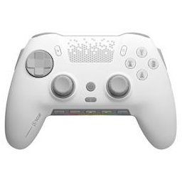 Controller Envision PRO Hall Effect Wireless White PC