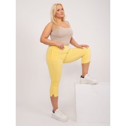 Pants-AT-SP-1863.37-Light Yellow