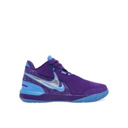 Nike Обувки за баскетбол Zm Lebron Nxxt Gen Ampd FJ1566 500 Виолетов