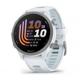Garmin Forerunner 170 Whitestone с Whitestone/Cloud Blue каишка - Смарт часовник