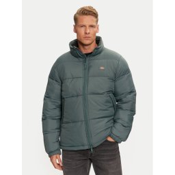 Dickies Преходно яке Waldenburg DK0A4XP20LN Зелен Regular Fit