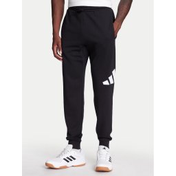 adidas Долнище анцуг Essentials Big Logo IN6163 Черен Regular Fit