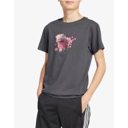 ADIDAS Originals x Minecraft Graphic Tee Gray